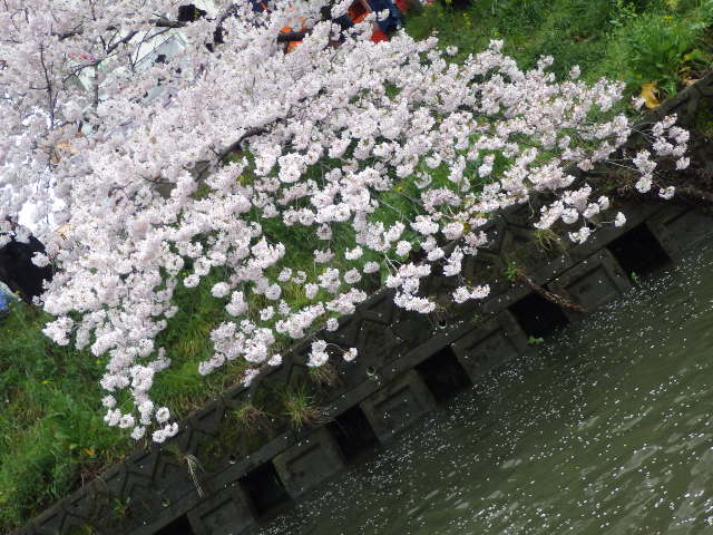 イメージ 10