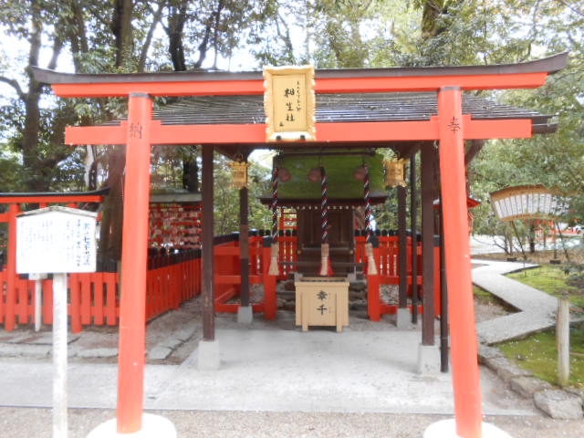 イメージ 13