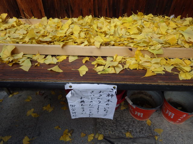イメージ 19