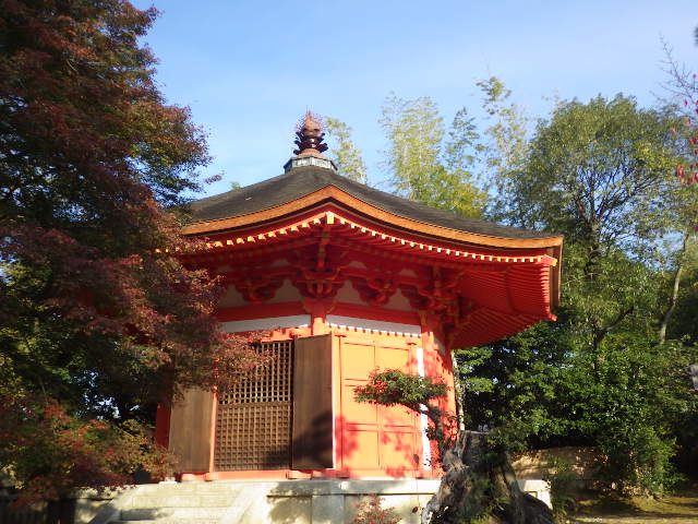 イメージ 14