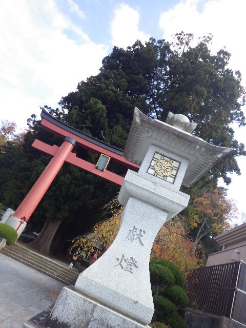 イメージ 18