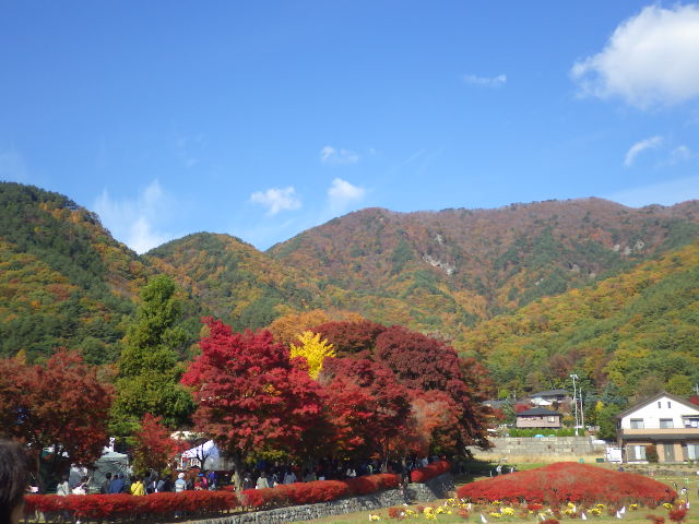 イメージ 5