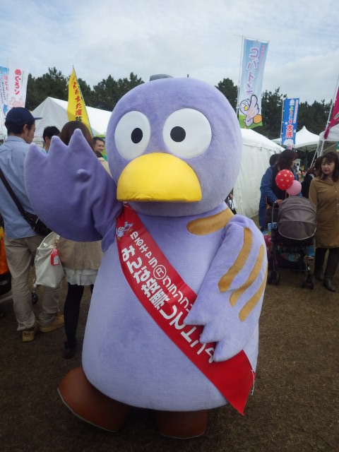 イメージ 16