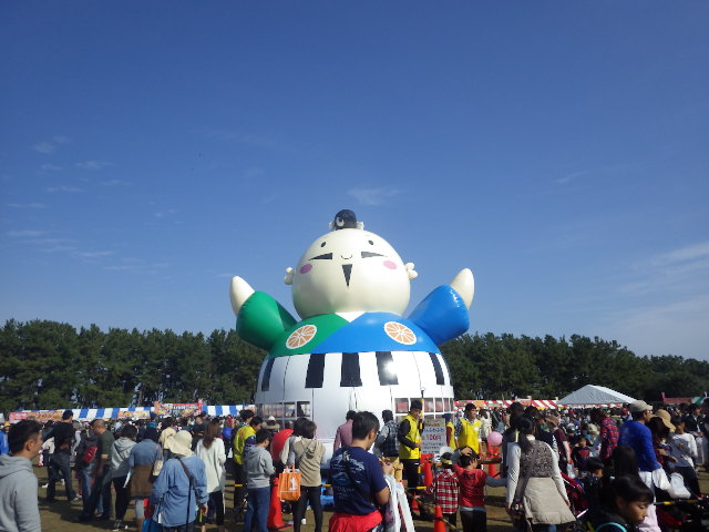 イメージ 7