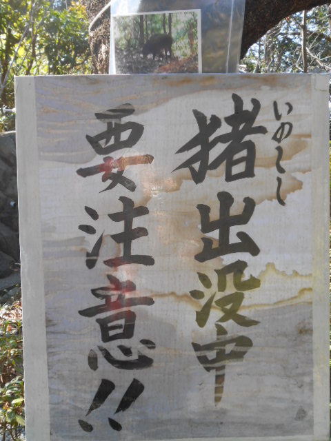 イメージ 16