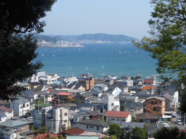 イメージ 12