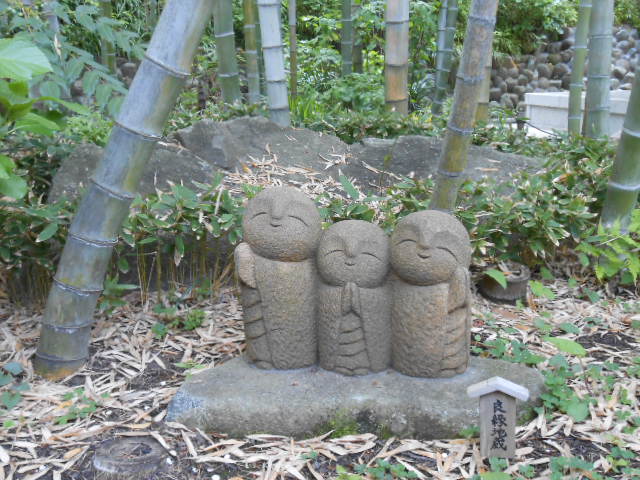 イメージ 14