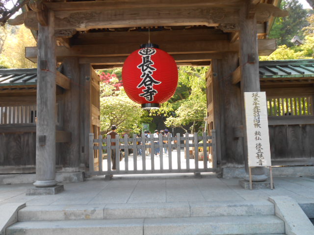 イメージ 6