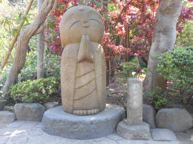イメージ 8