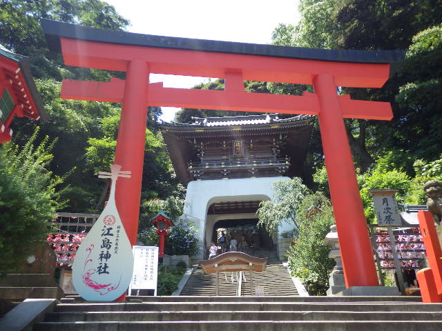 イメージ 16
