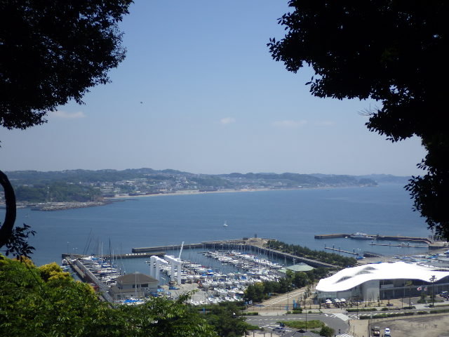 イメージ 24