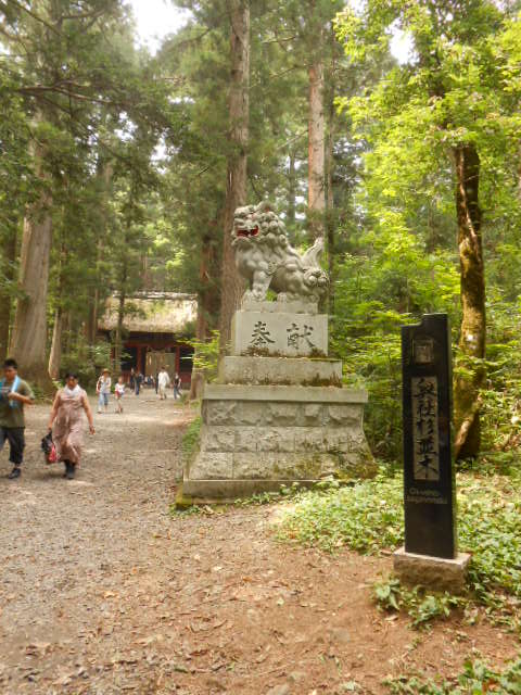 イメージ 5