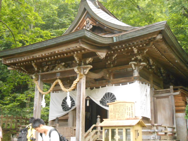 イメージ 7