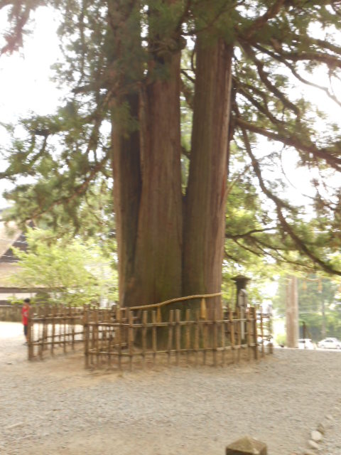 イメージ 9