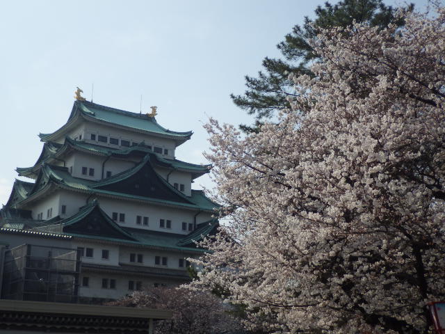 イメージ 10