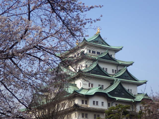 イメージ 11