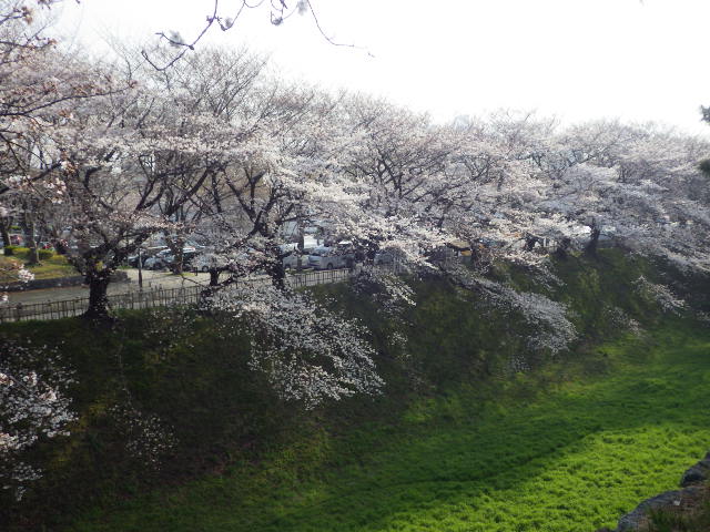 イメージ 12