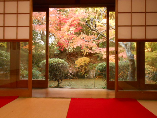 イメージ 6