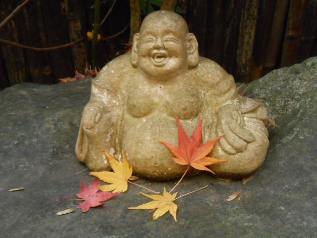 イメージ 7