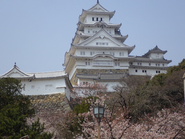 イメージ 8