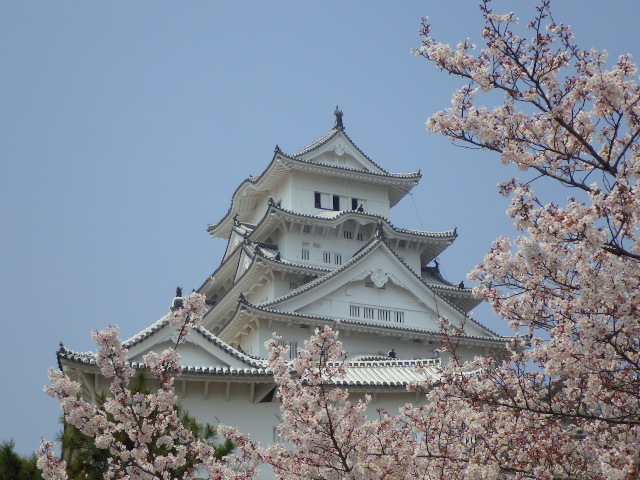 イメージ 9