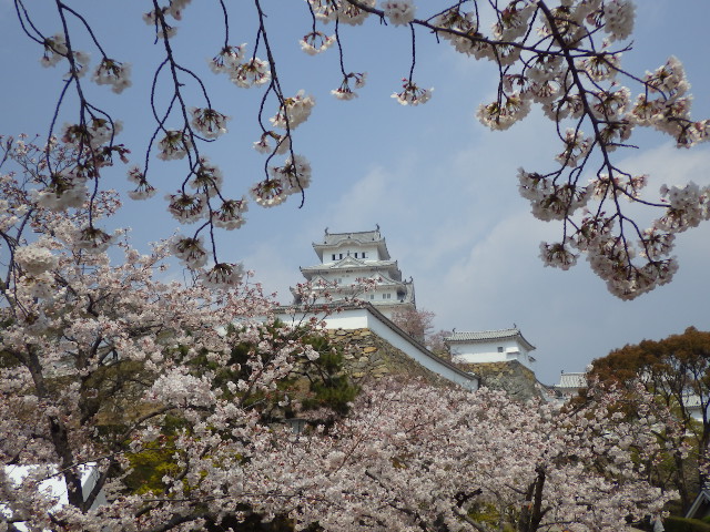 イメージ 10