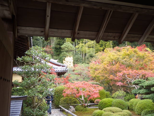 イメージ 14