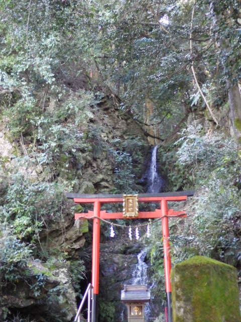イメージ 22