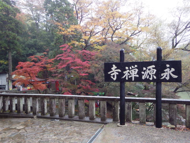イメージ 11