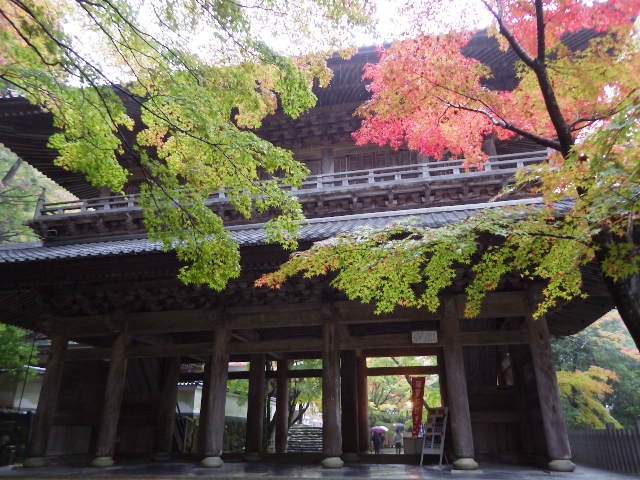 イメージ 17