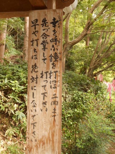 イメージ 12