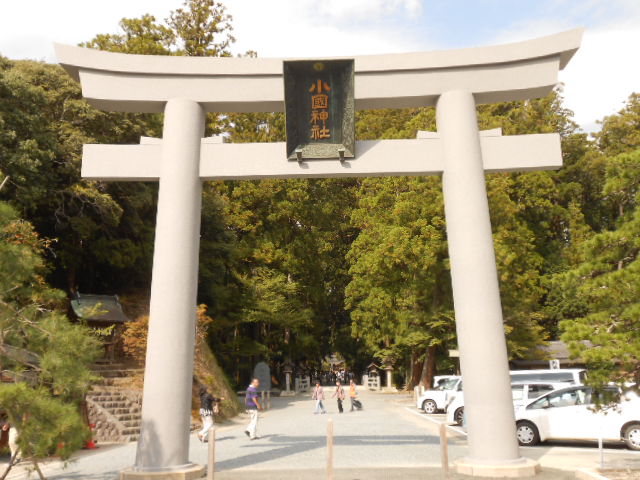 イメージ 7