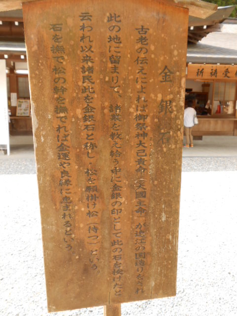 イメージ 9