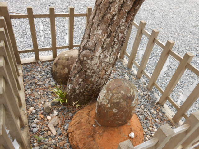 イメージ 10