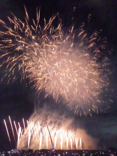 イメージ 14