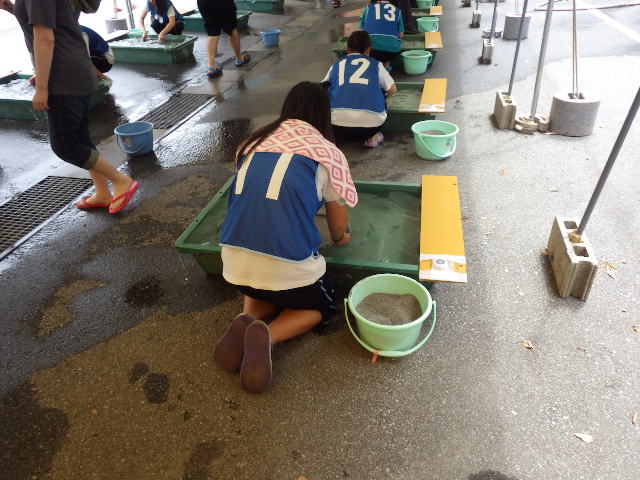 イメージ 7
