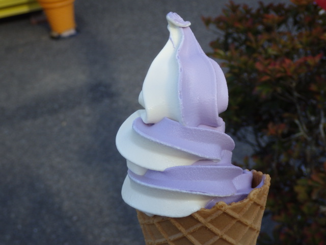 イメージ 4