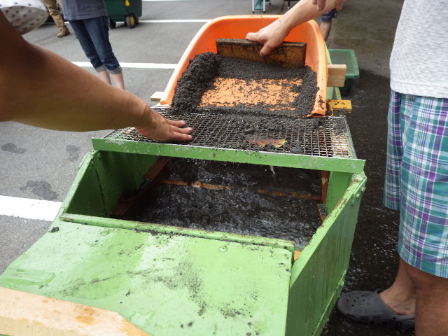イメージ 10