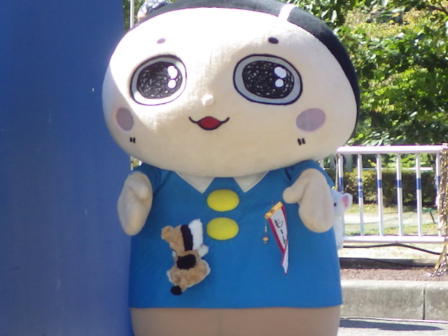 イメージ 18