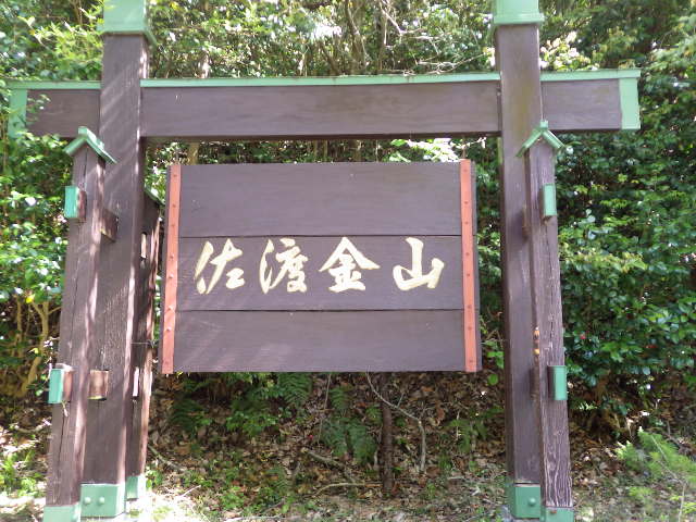 イメージ 5