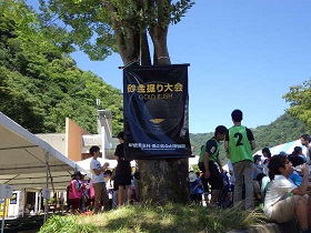 イメージ 7