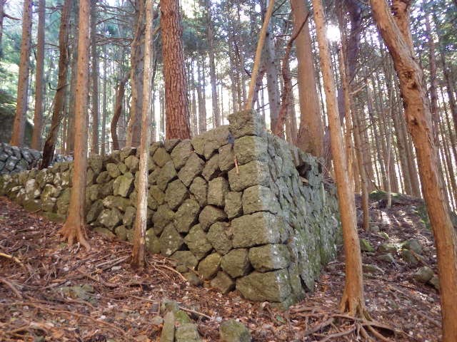 イメージ 5