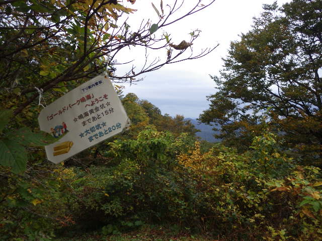 イメージ 9