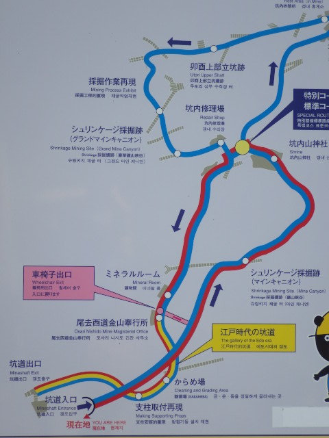 イメージ 6
