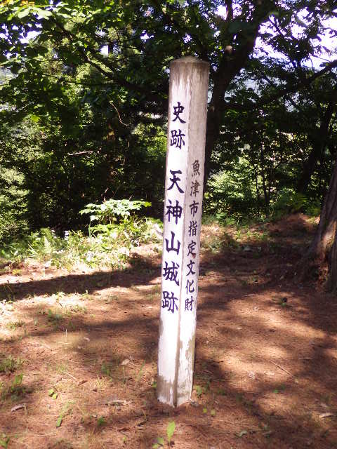 イメージ 13