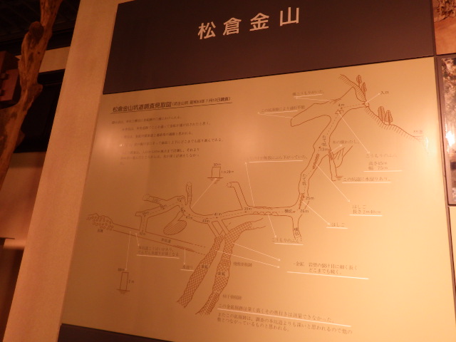 イメージ 17