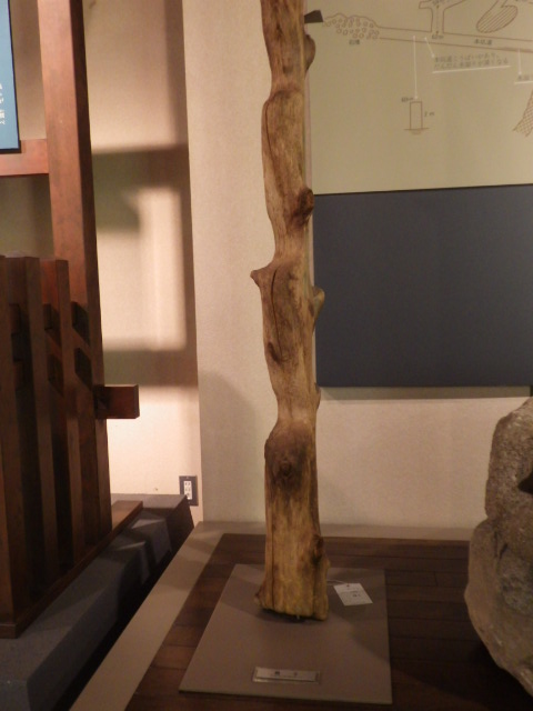 イメージ 21