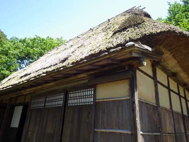 イメージ 10