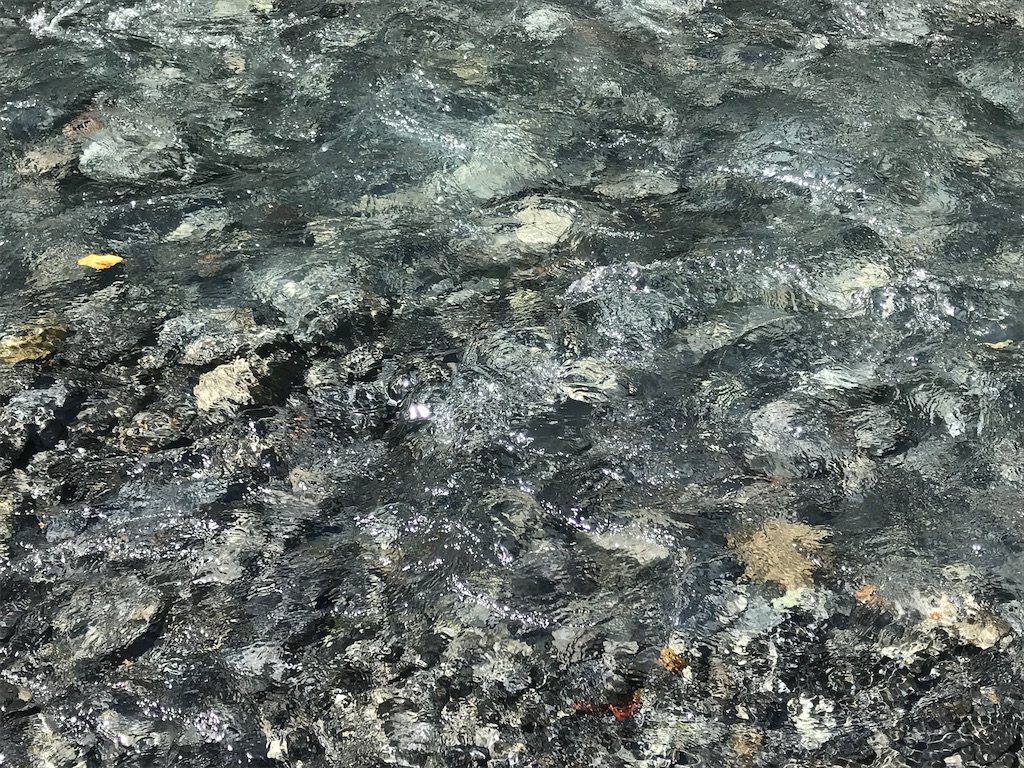 f:id:ken-goldjapan:20190908164604j:image