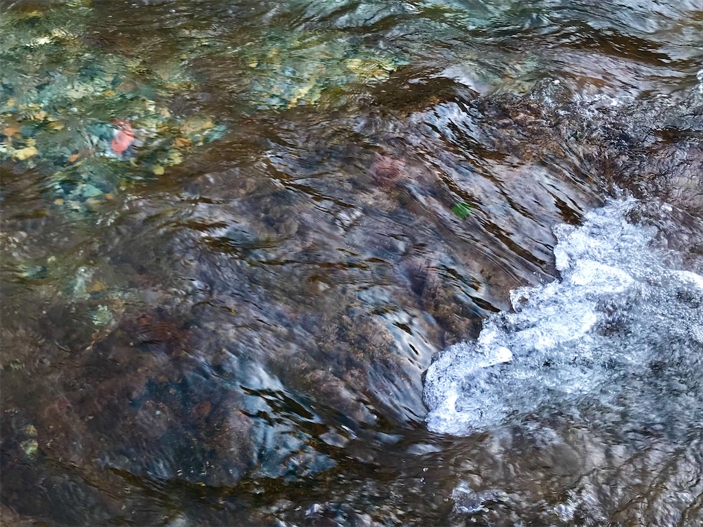 金城 山水 津山城 - 砂金に魅せられて！金狼の日々